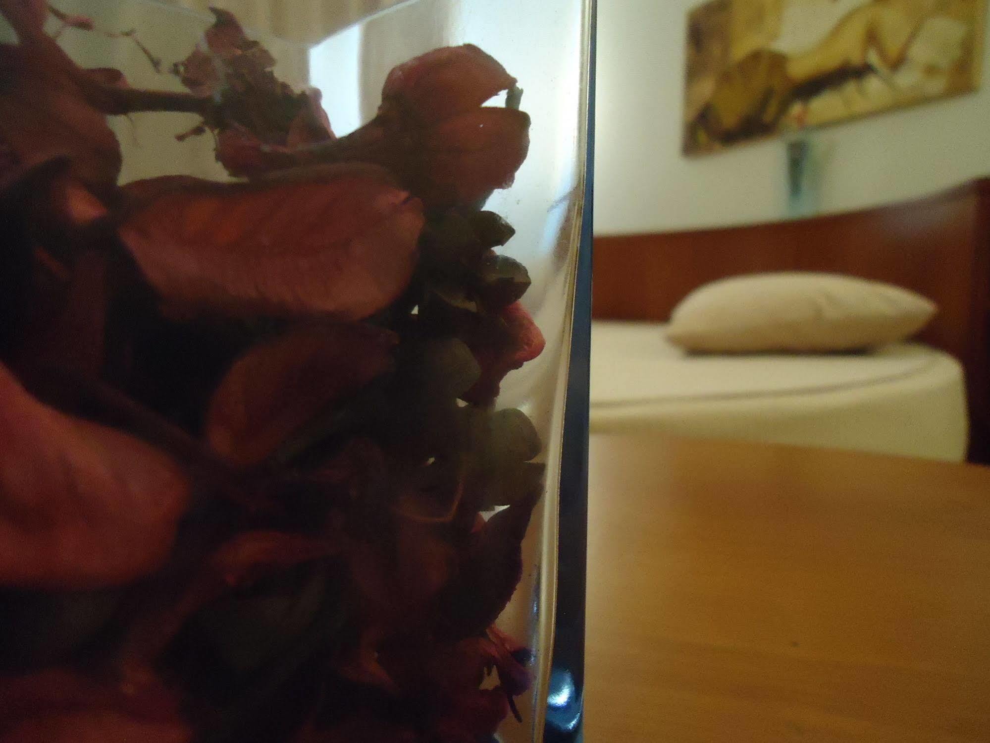 גוארדה Hotel Pombeira מראה חיצוני תמונה